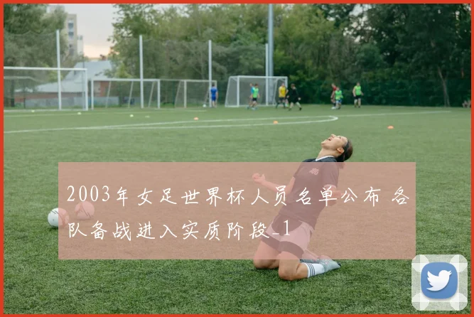 2003年女足世界杯人员名单公布 各队备战进入实质阶段_1