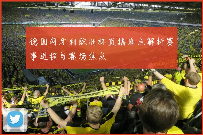 德国匈牙利欧洲杯直播看点解析赛事进程与赛场焦点