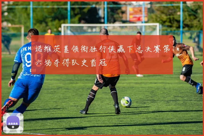 诺维茨基领衔独行侠赢下总决赛第六场夺得队史首冠